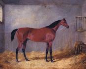 The Duke Of Grafton's Bolivar In A Stable - 约翰·弗雷德里克·赫尔林